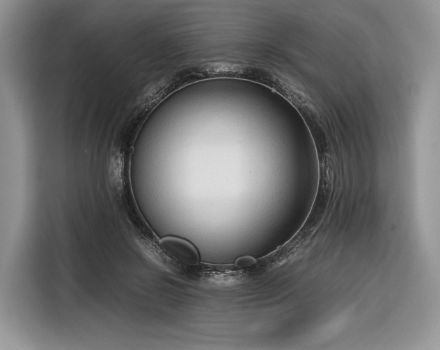 X0000116350550200912091132