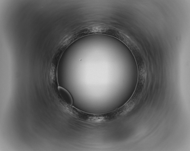 X0000116350554200912091132