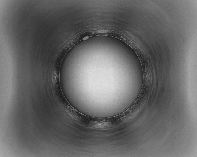 X0000116350555200912091132