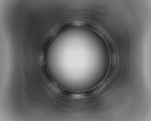 X0000116350557200912091132