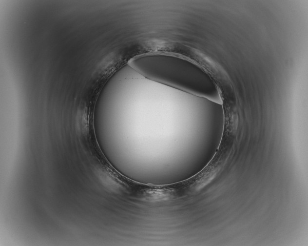 X0000116350558200912091132