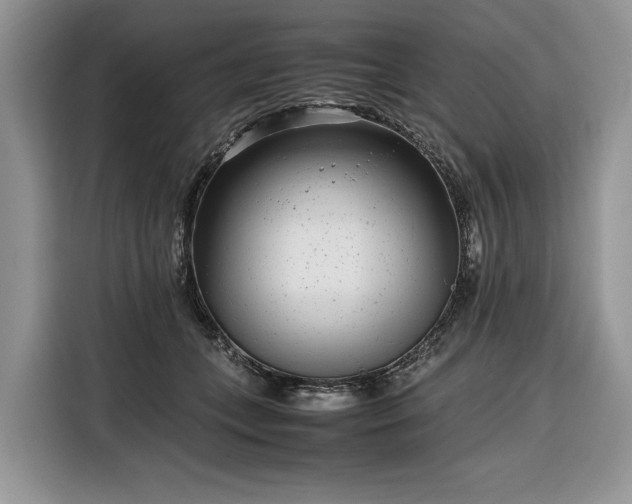 X0000116350559200912091132