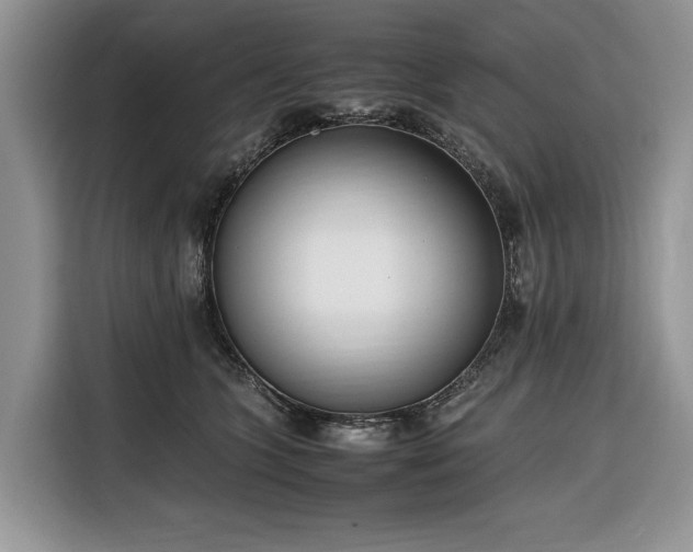 X0000116350563200912091132