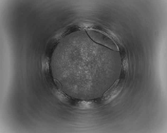 X0000116350570200912091132