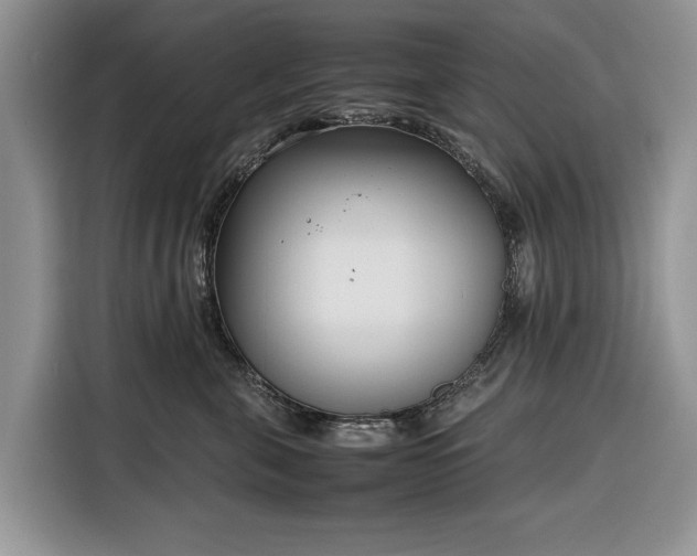 X0000116350571200912091132