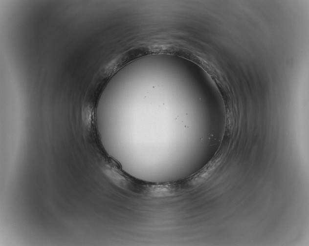 X0000116350574200912091132