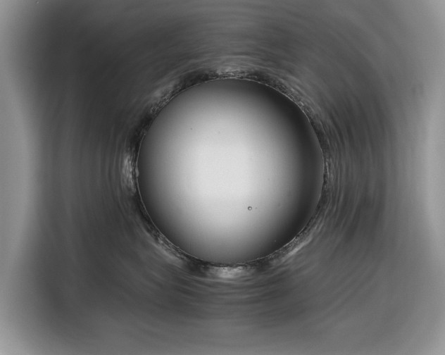 X0000116350575200912091132