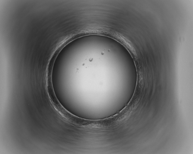 X0000116350578200912091131