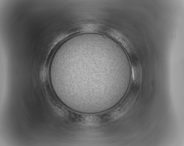 X0000116350579200912091131