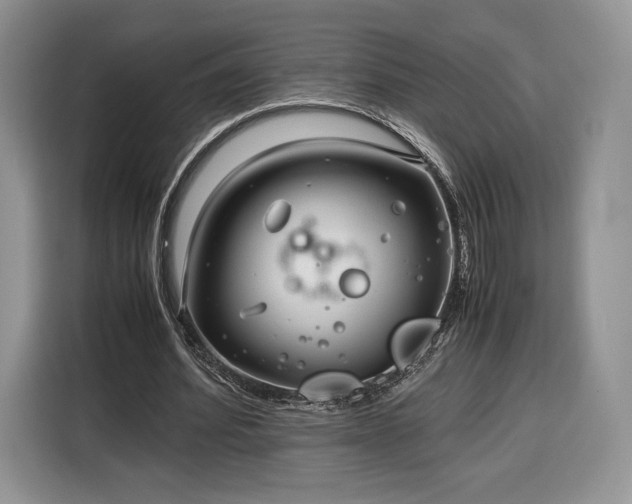 X0000116350580200912091131