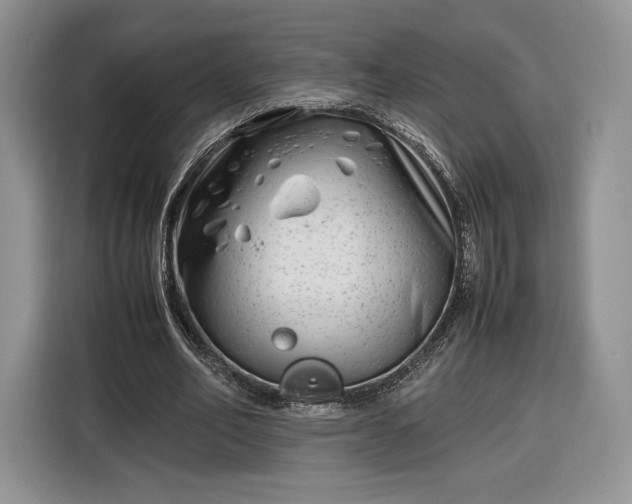 X0000116350582200912091131