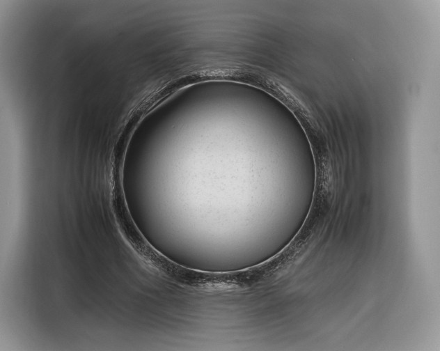 X0000116350586200912091131