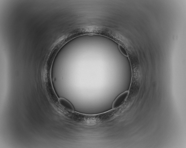 X0000116350587200912091131