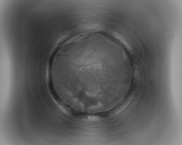 X0000116350590200912091131