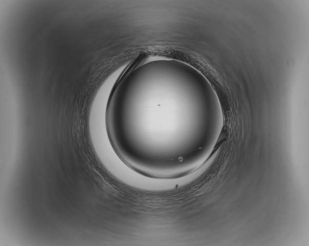 X0000116350593200912091131