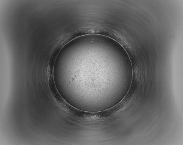 X0000116350594200912091131