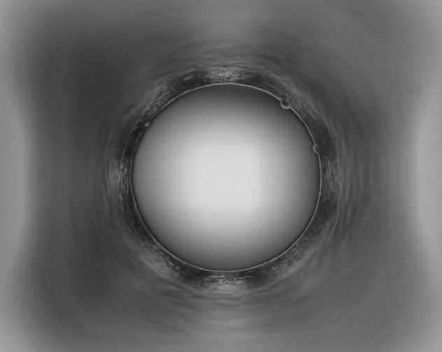 X0000116350601200912091131