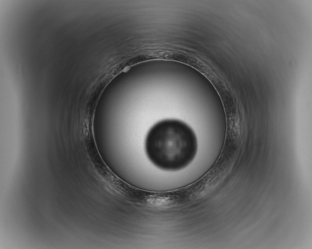 X0000116350602200912091131