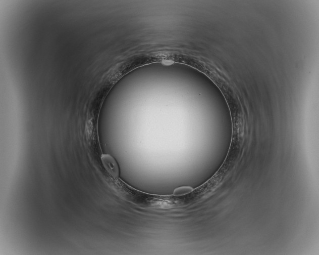 X0000116350611200912091131