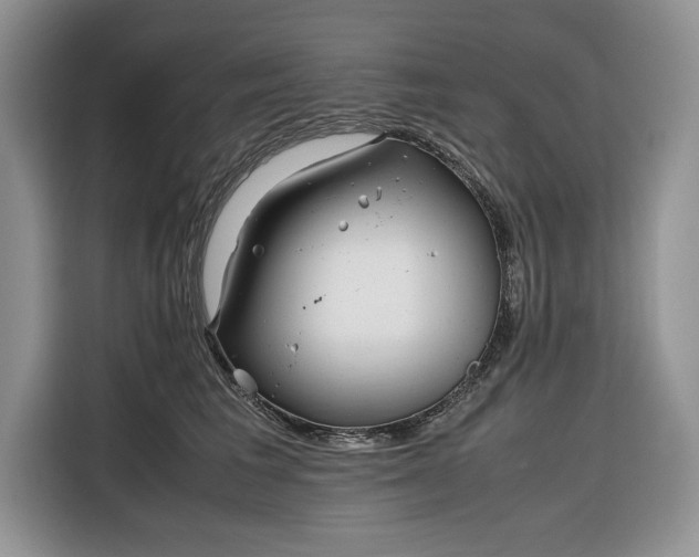 X0000116350613200912091131