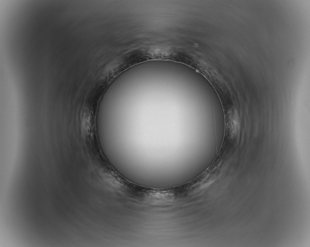 X0000116350619200912091131