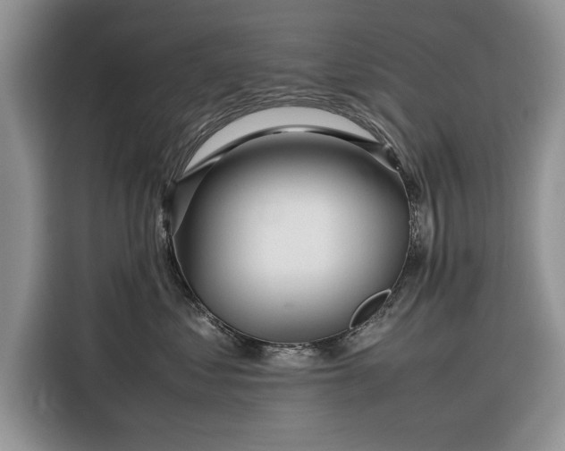 X0000116350621200912091131