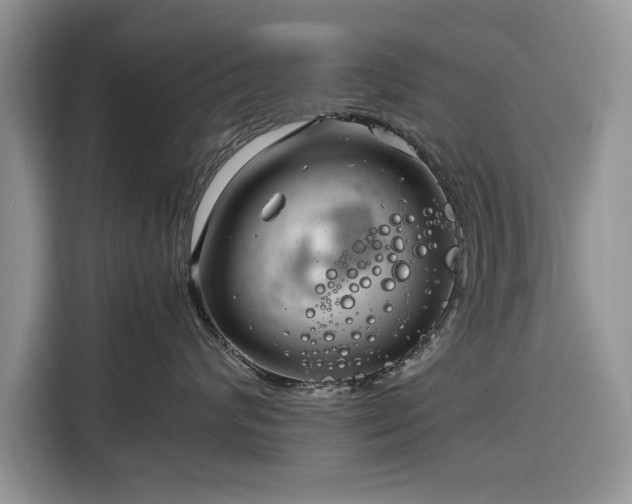 X0000116350624200912091131