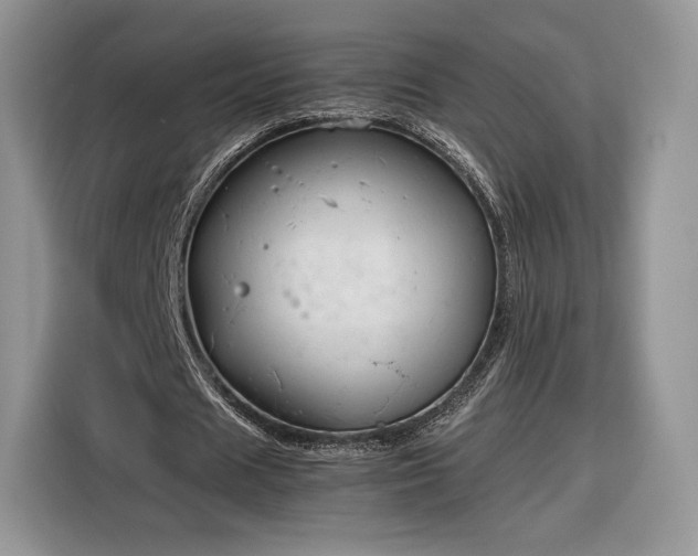 X0000116350625200912091130