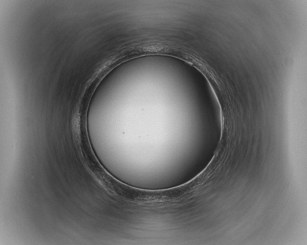 X0000116350626200912091130