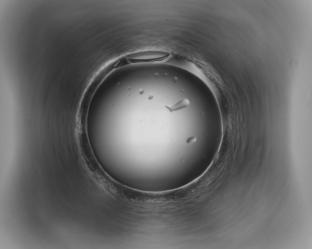 X0000116350628200912091130