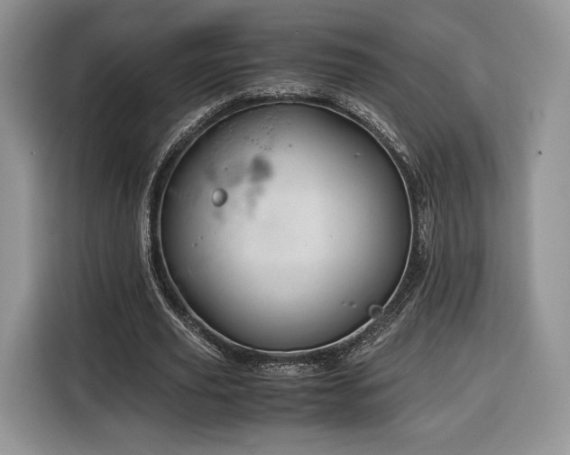 X0000116350629200912091130