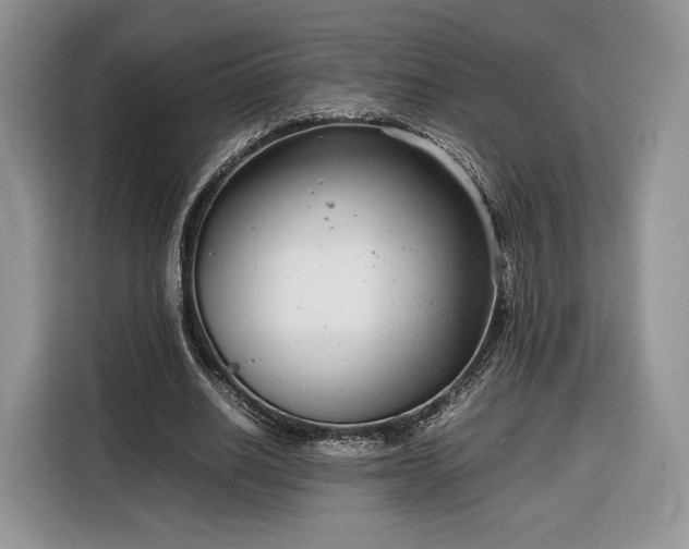 X0000116350630200912091130