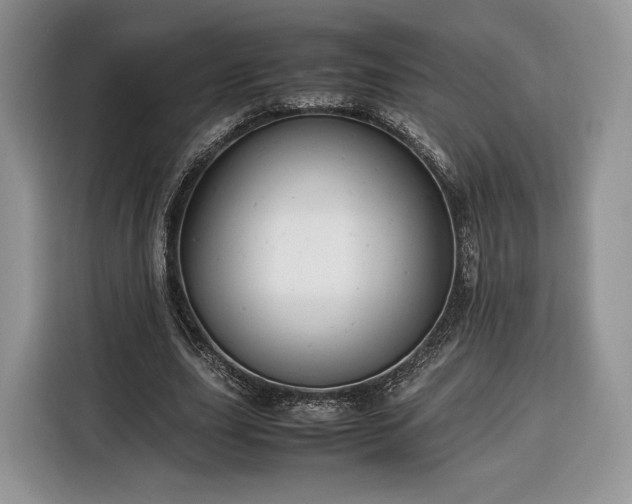 X0000116350631200912091130