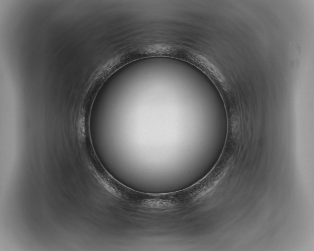 X0000116350633200912091130