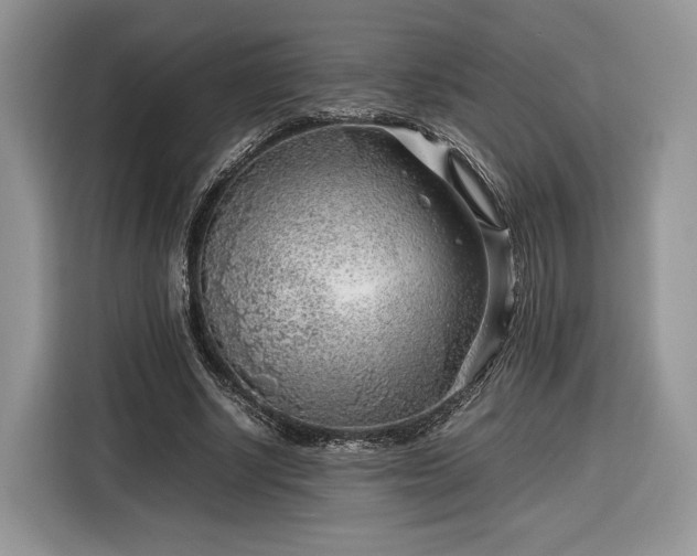 X0000116350634200912091130