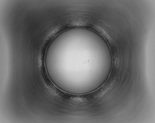 X0000116350635200912091130