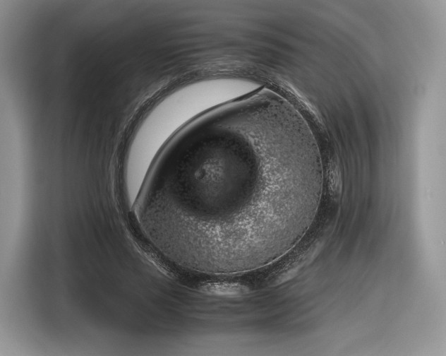 X0000116350637200912091130