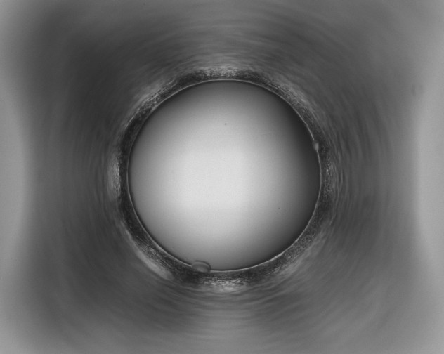 X0000116350638200912091130