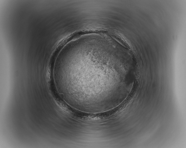 X0000116350640200912091130