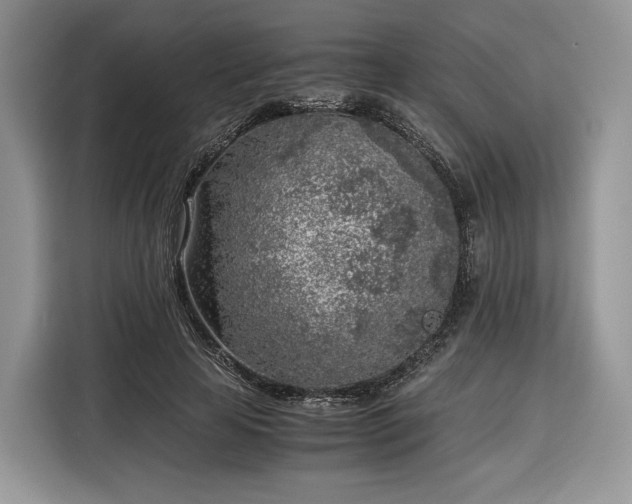 X0000116350641200912091130