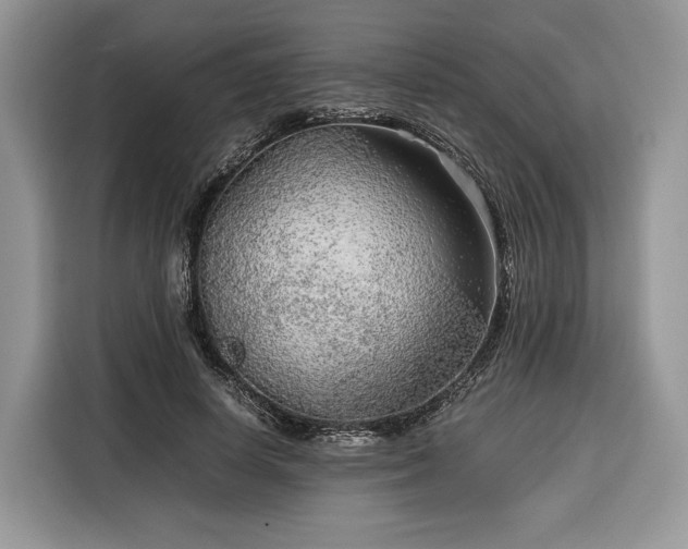 X0000116350642200912091130