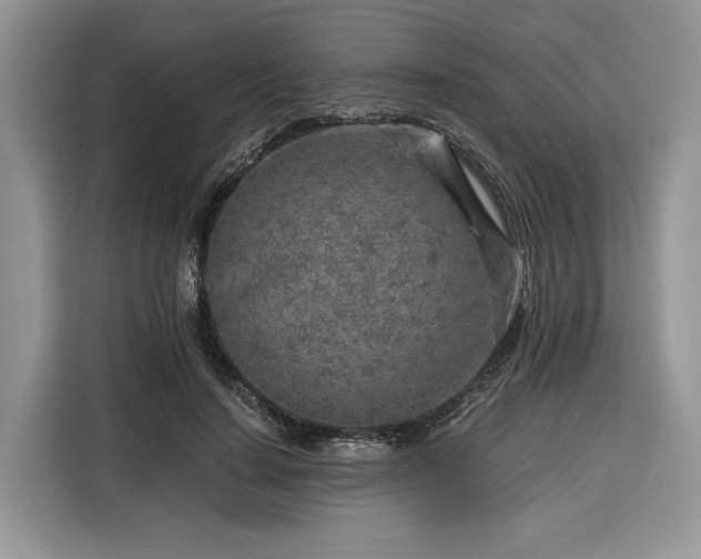 X0000116350644200912091130