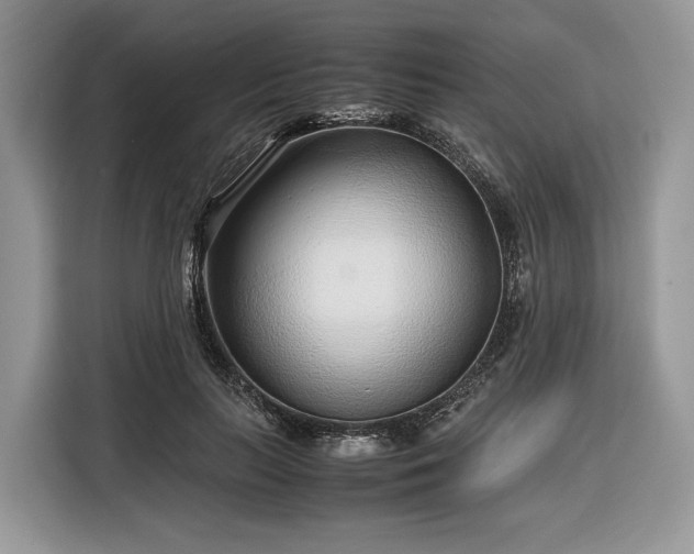 X0000116350647200912091130