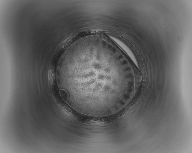 X0000116350648200912091130