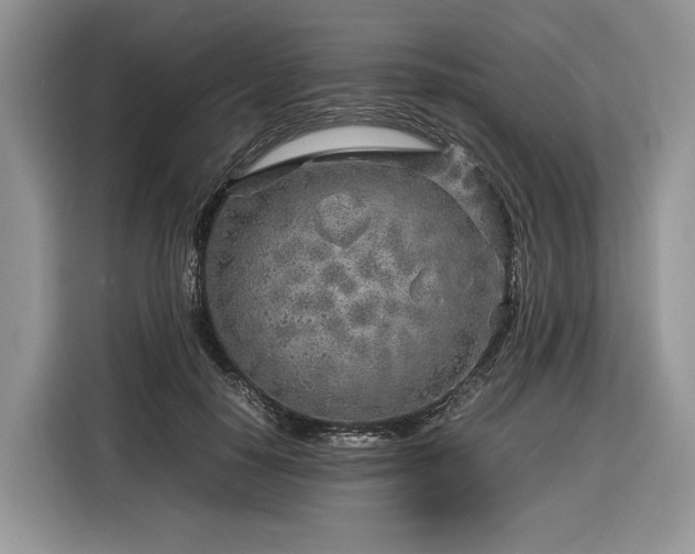 X0000116350650200912091130