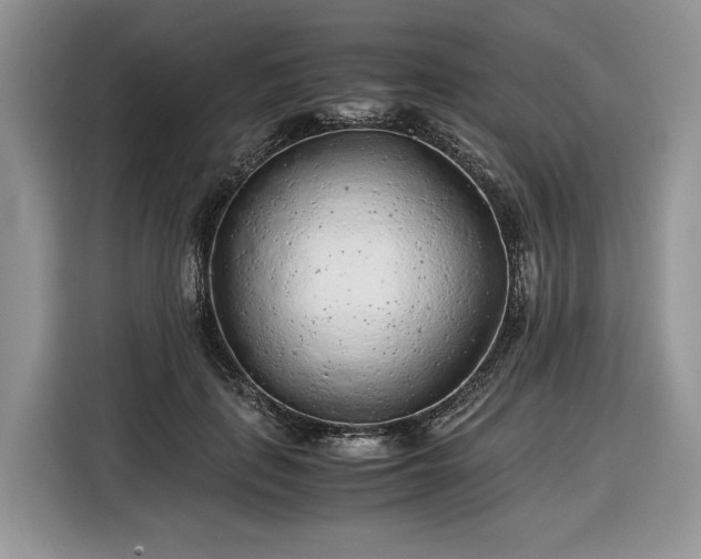 X0000116350651200912091131