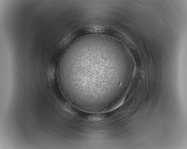 X0000116350652200912091131