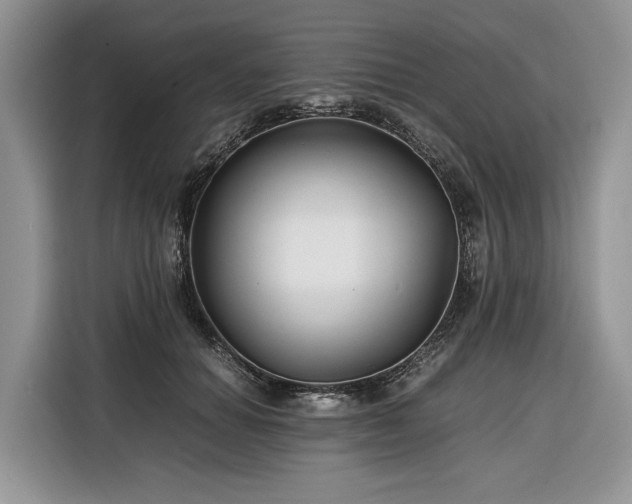 X0000116350654200912091131