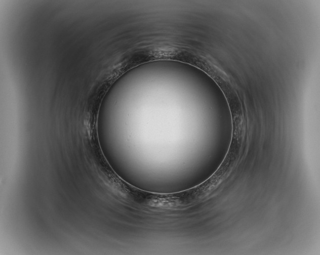 X0000116350655200912091131