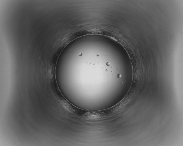 X0000116350658200912091131